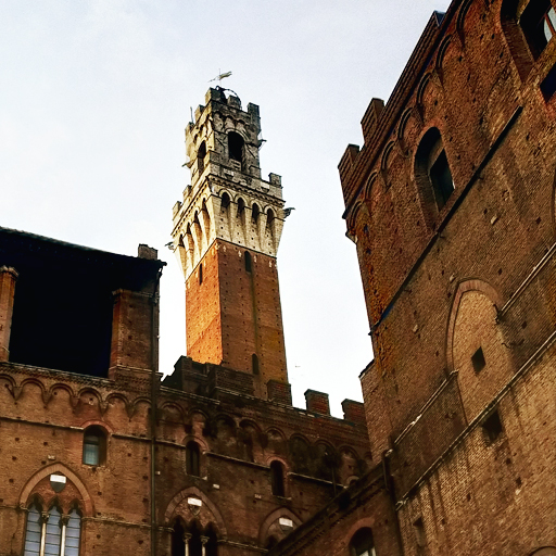 Siena – Piazza del Campo